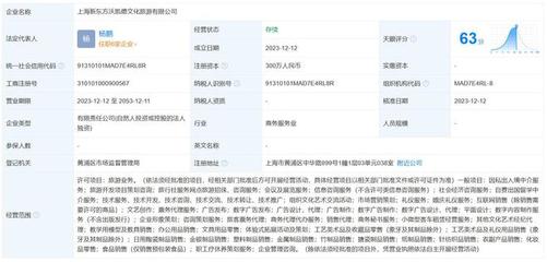 新东方文旅在上海成立新公司，扩展信息咨询服务版图